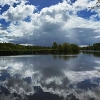 Blue sky reflecting on the River Tees with trees and green bushes on the rivers edge.