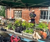 Selection of plants and vegetables on a wooden cart.
