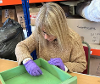 Lady with purple gloves on cleaning a green drawer.