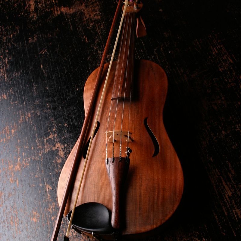Violin Violin