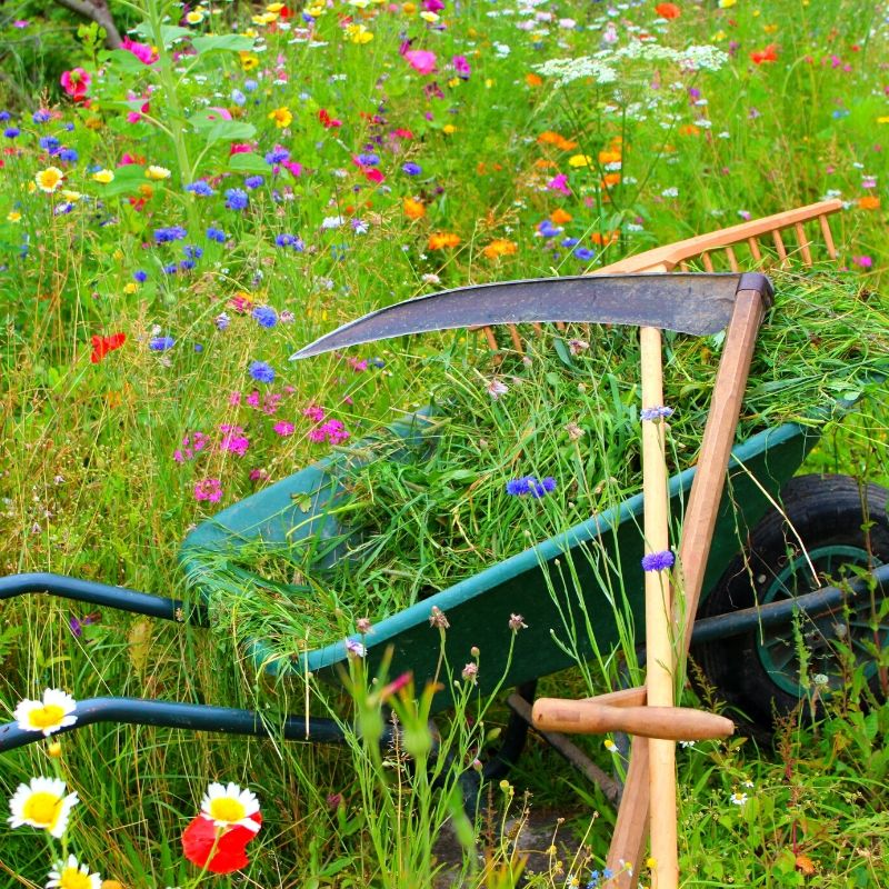 Scything with Steve Tomlin