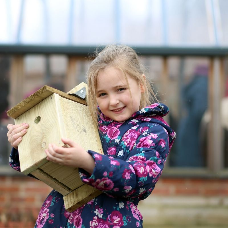 Young Girl Making A Bird Box Square Image