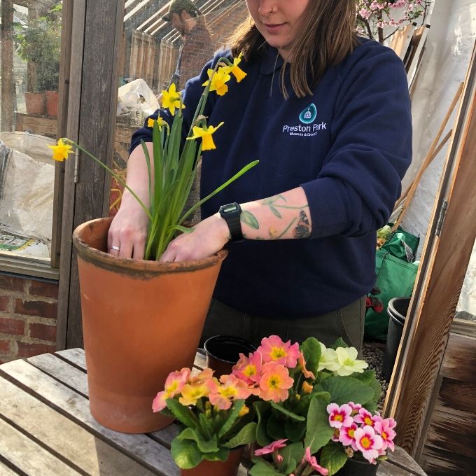 Arranging Your Plants In A Pot