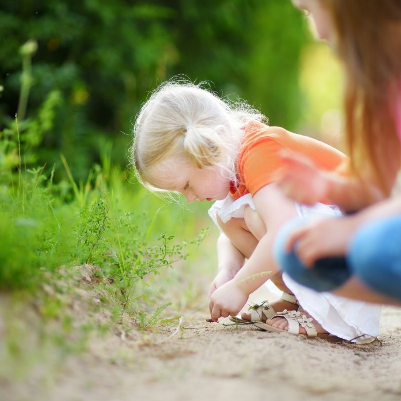 An image of a young child bug hunting