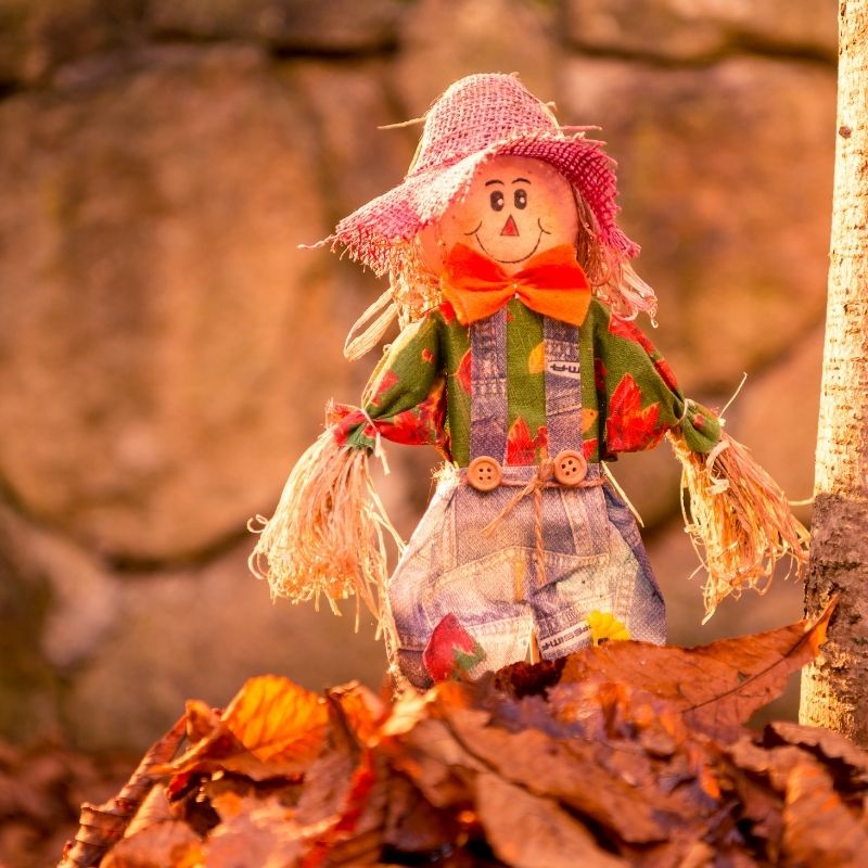 Autumn Scarecrow Trail