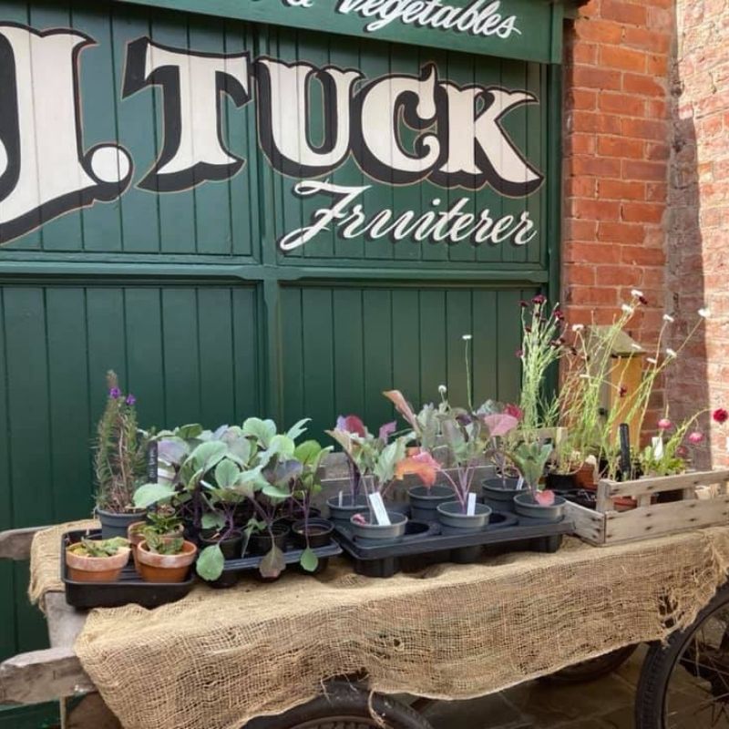 Seasonal Produce For Sale From The Walled Garden At Preston Park Museum