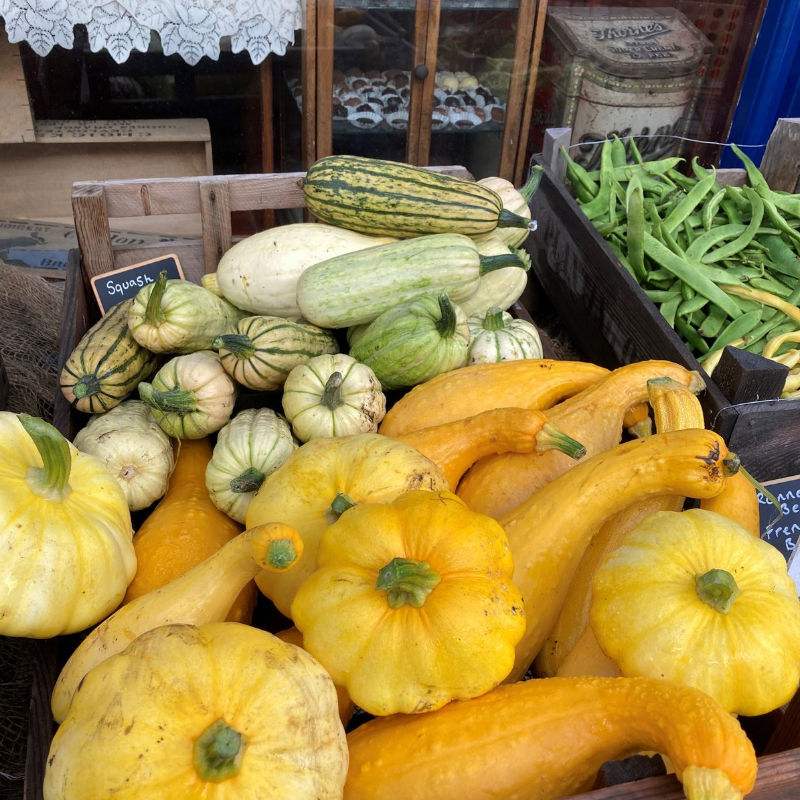 Home Grown Squash For Sale