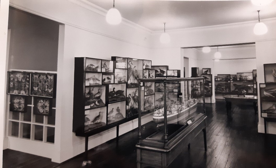 A photo of what Preston Park Museum used to look like