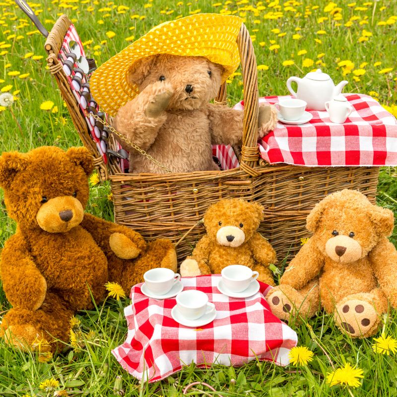 Teddy bears picnic St Mary's C.E. Primary School, Shawbury