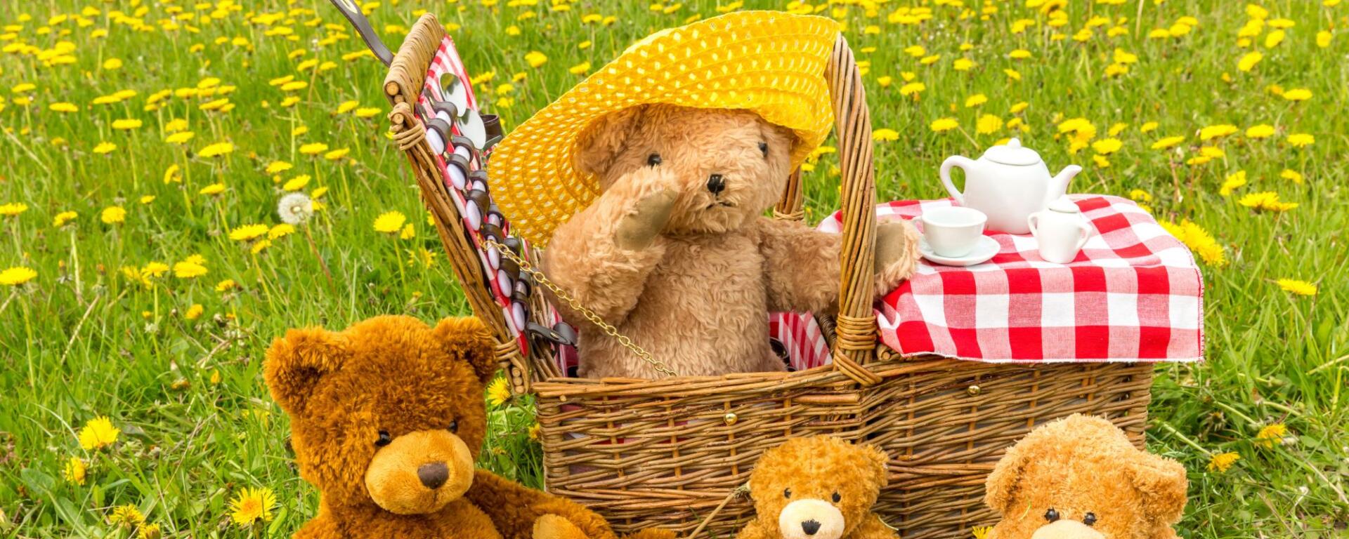 Teddy Bears' Picnic At Preston Park