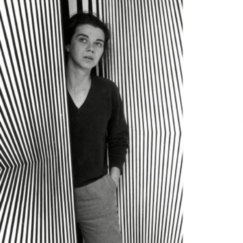 Bridget Riley: Art in Motion exhibition