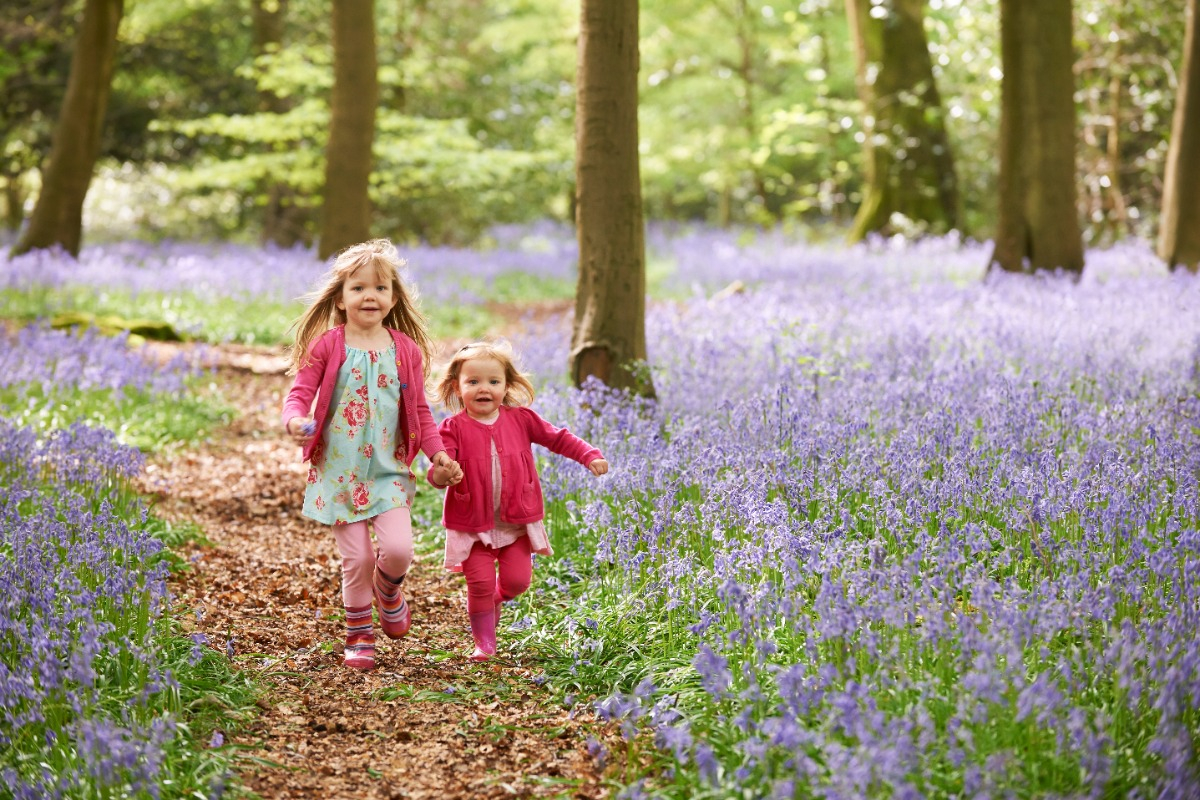 Bluebell (girls walking in woods) - hero