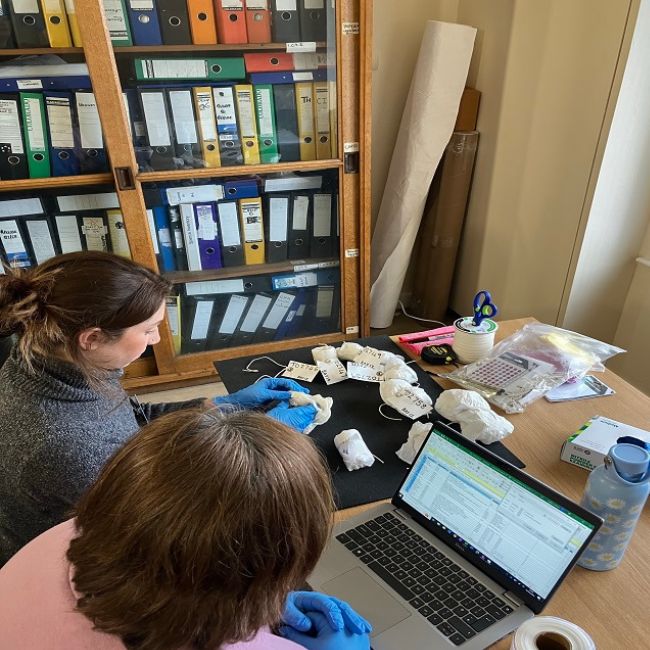 Museum volunteers archiving objects